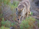 photo thumbnail #7