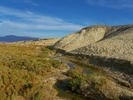 photo thumbnail #13
