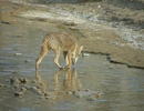 photo thumbnail #15