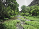 photo thumbnail #7
