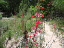 photo thumbnail #9
