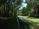 photo thumbnail #11