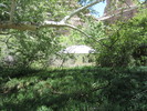 photo thumbnail #15