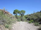 photo thumbnail #2