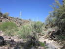 photo thumbnail #5