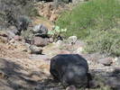 photo thumbnail #6