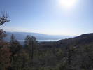 photo thumbnail #1