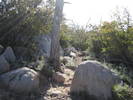 photo thumbnail #4