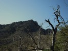 photo thumbnail #6