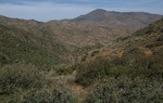 photo thumbnail #3