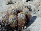 photo thumbnail #6