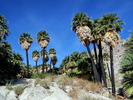 photo thumbnail #12