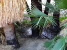 photo thumbnail #13