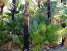 photo thumbnail #15