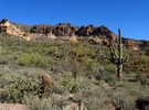 photo thumbnail #5