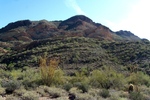 photo thumbnail #8