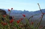 photo thumbnail #12
