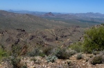 photo thumbnail #14