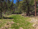 photo thumbnail #6