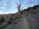 photo thumbnail #2