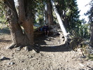 photo thumbnail #6