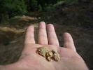 photo thumbnail #1