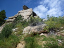 photo thumbnail #2