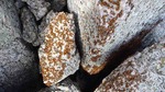 photo thumbnail #6