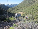 photo thumbnail #2