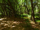 photo thumbnail #4
