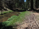 photo thumbnail #14