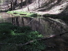 photo thumbnail #15