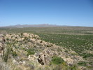 photo thumbnail #2