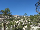 photo thumbnail #10