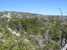 photo thumbnail #11
