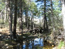 photo thumbnail #12