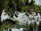 photo thumbnail #14