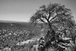photo thumbnail #12
