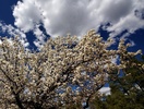 photo thumbnail #15