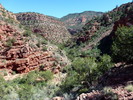 photo thumbnail #13