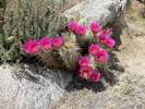 photo thumbnail #10