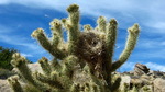 photo thumbnail #13