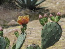 photo thumbnail #9