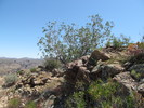 photo thumbnail #13