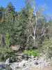 photo thumbnail #11