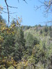 photo thumbnail #15