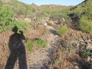 photo thumbnail #3