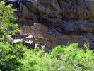 photo thumbnail #15