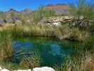 photo thumbnail #10