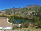 photo thumbnail #11